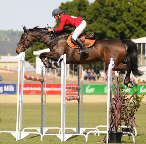 Danielle Butcher jumping HP Landsong at the 2008 Adelaide Royal Show