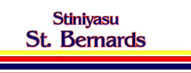 Stiniyasu St Bernards